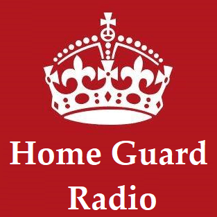 cropped-cropped-hgr-mini